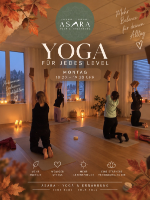 Montag Vinyasa - Abend Yoga Einsteiger  19.10.26